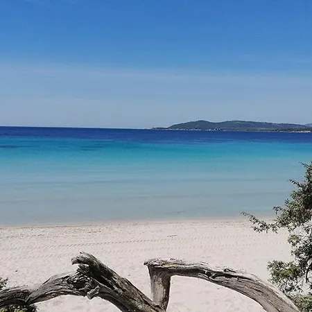 Il Grecale شقة ألغيرو